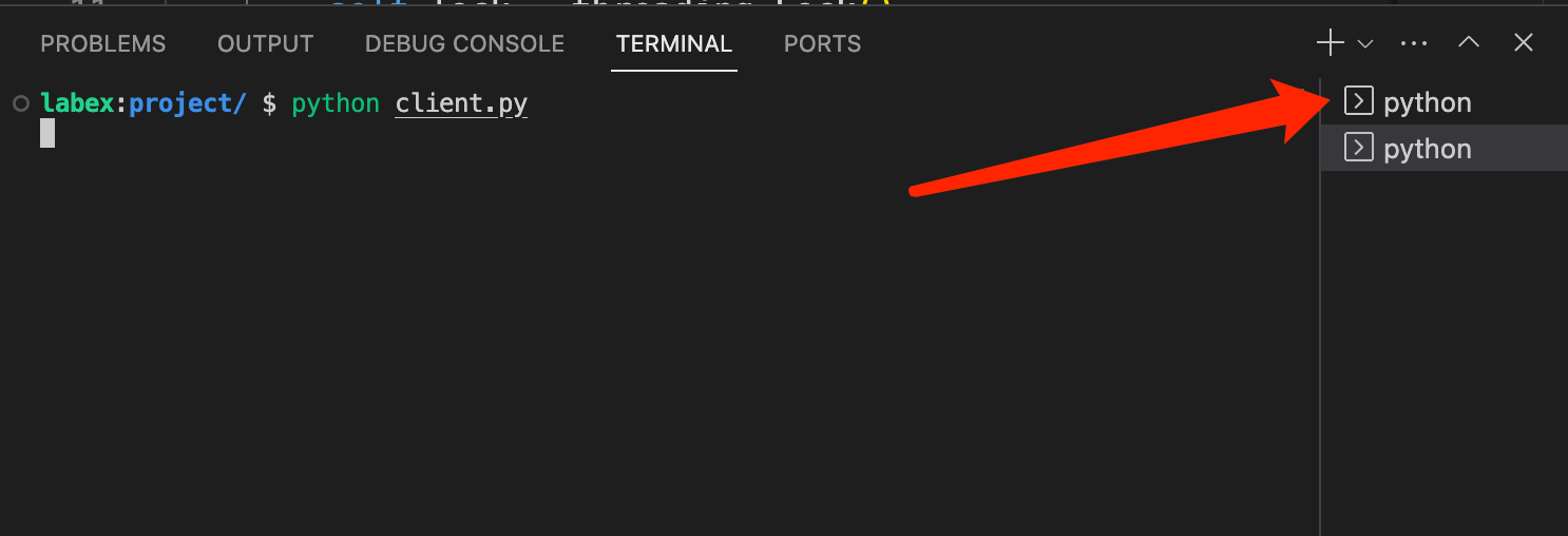 带有客户端选择的服务器终端