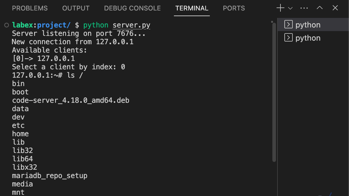 反向 Shell 命令执行