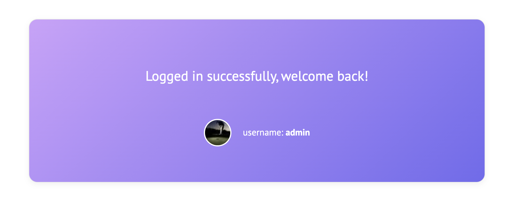 Vue 登录功能预览