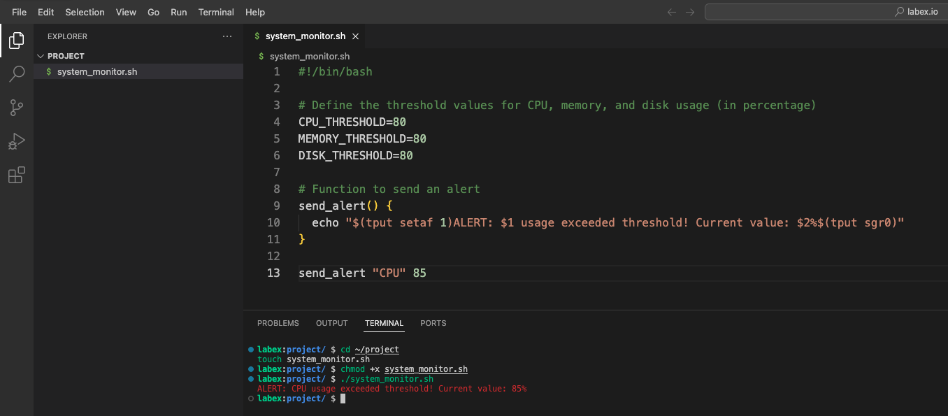 alert function code snippet