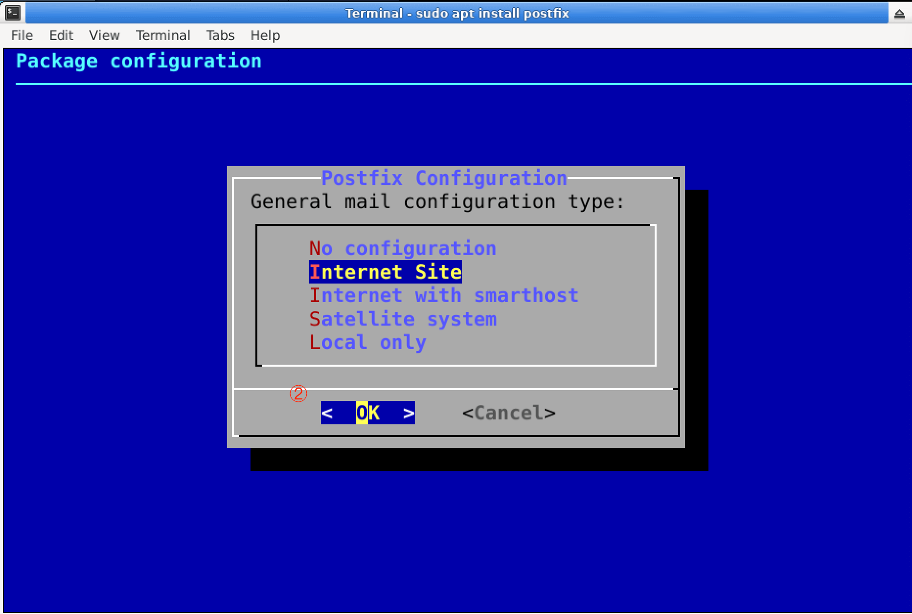 Postfix installation server type selection