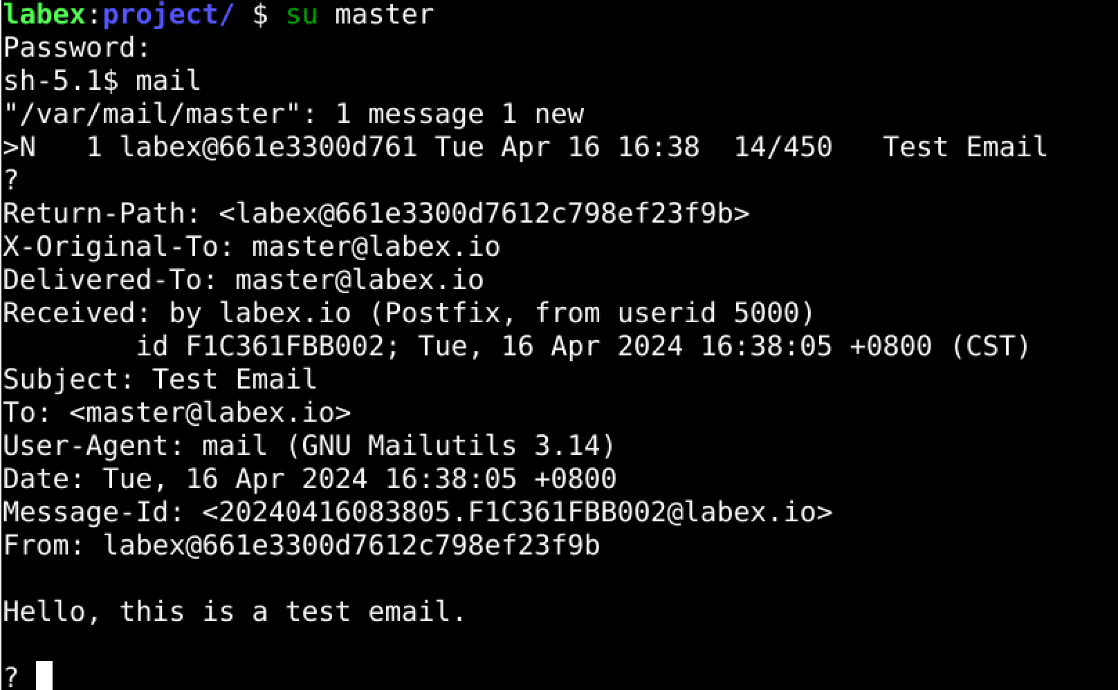 Contenido completo del correo mostrado