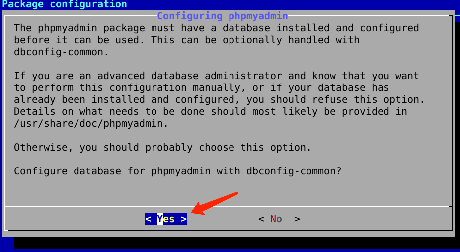 데이터베이스 구성 프롬프트 선택