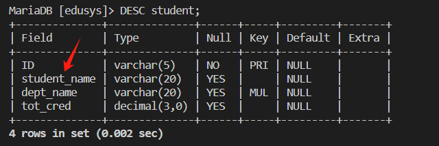 Vorschau des unvollendeten Projekts