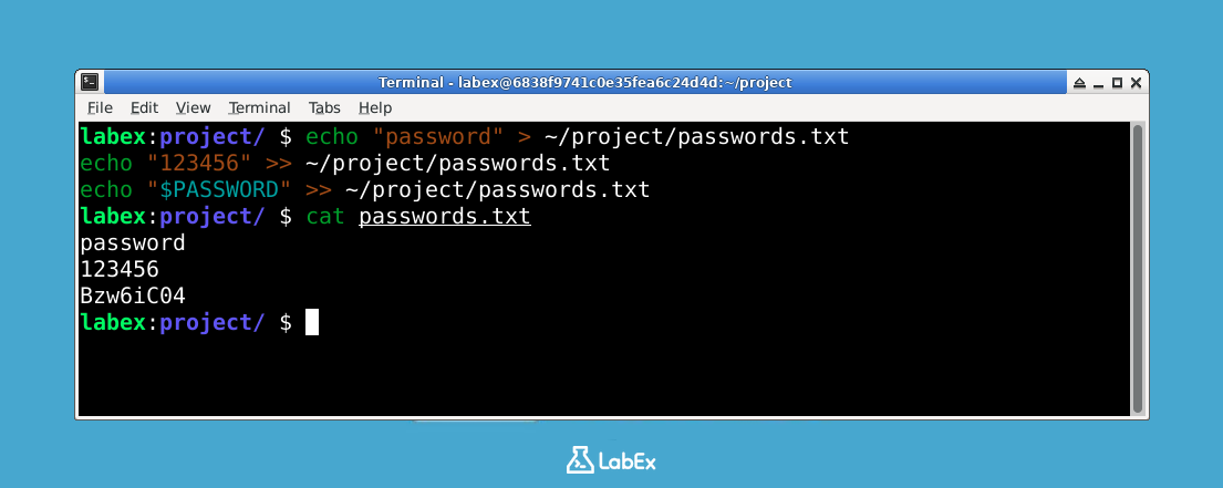 Hydra 命令执行示例