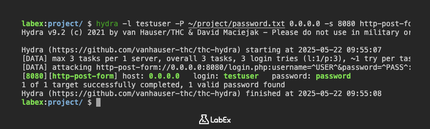 터미널에서 Hydra 명령 실행