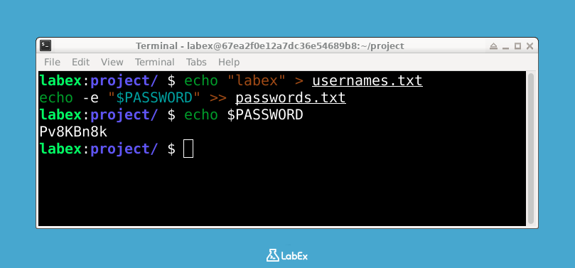 environment variable