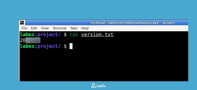 version.txt 내용 예시