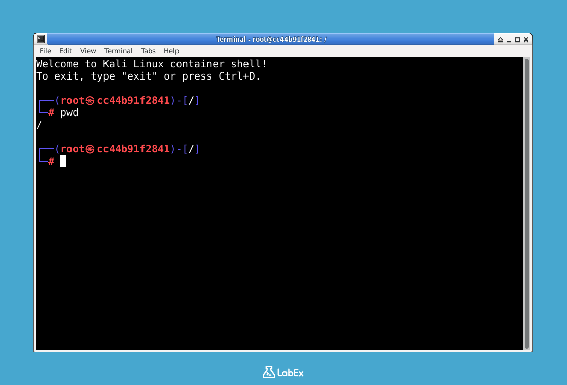 显示 Kali Linux 容器 Shell 的图像