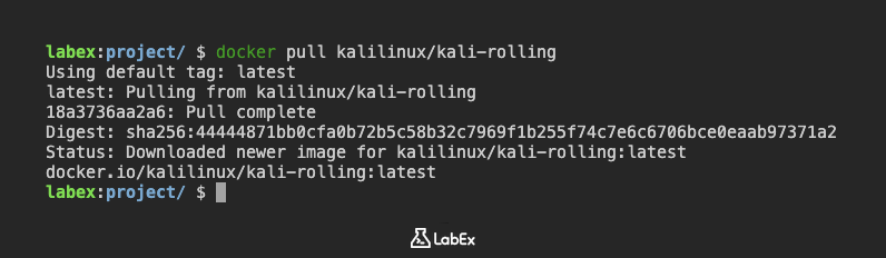 Imagen que muestra el progreso de la descarga de Docker