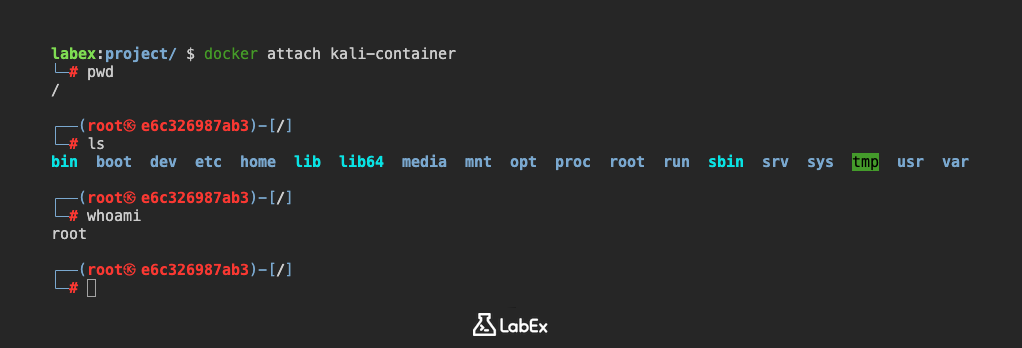 Salida del comando uname -a en Kali