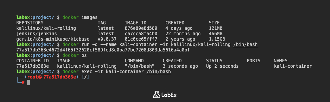 Imagen que muestra el acceso a la terminal del contenedor