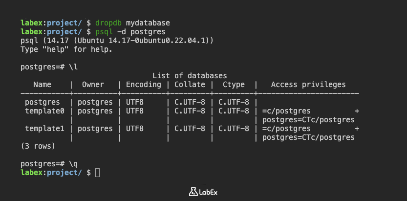 连接到 postgres 后的提示符