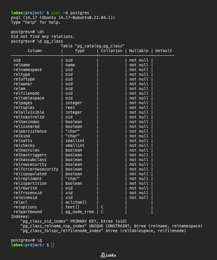 pg_class 表的结构输出