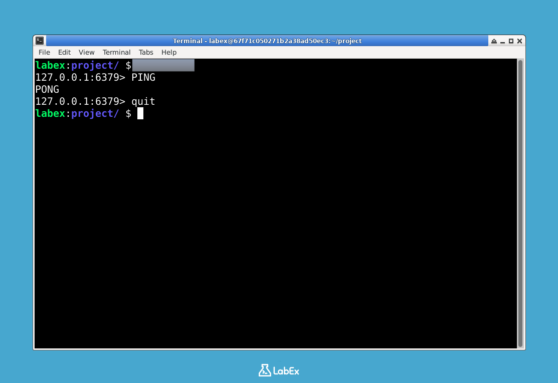 PING 成功输出示例