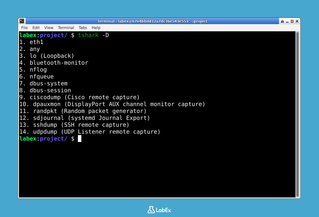Capture-capable network interfaces