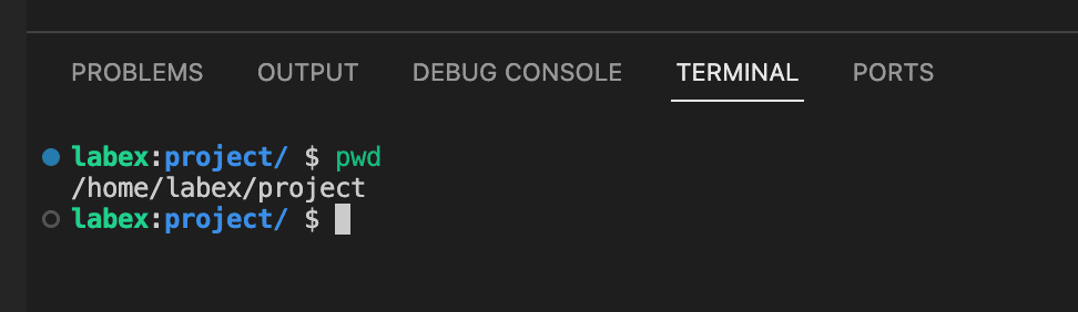 Terminal showing project directory