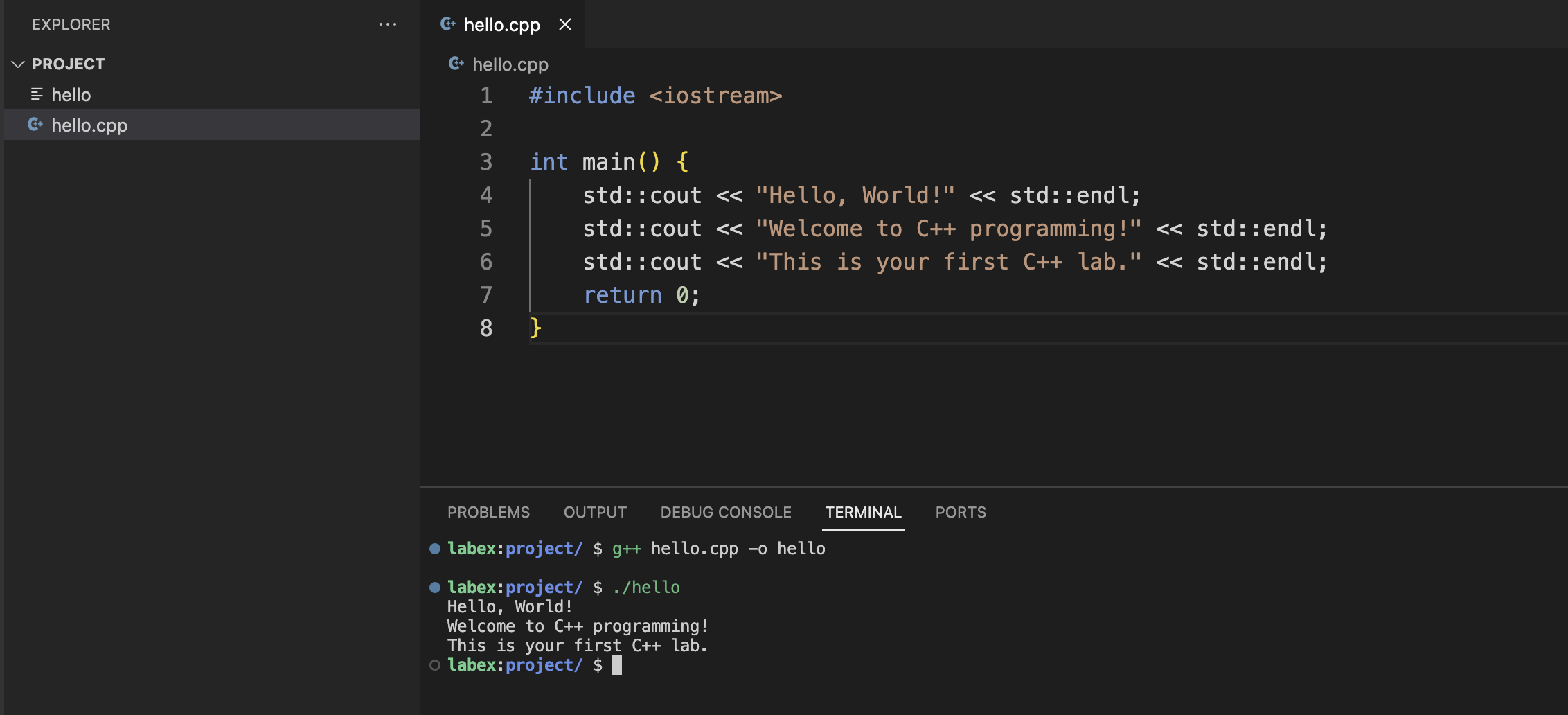 终端输出三行内容