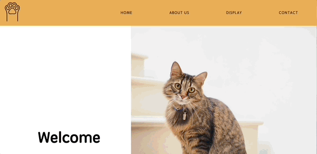 CSS animation effect demo