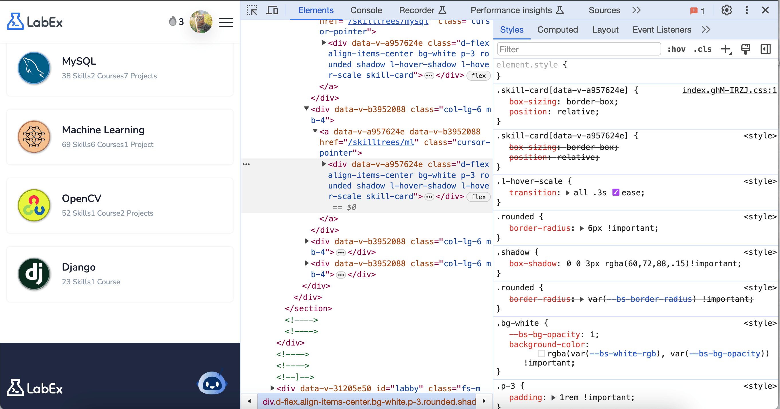 Developer tools elements and styles