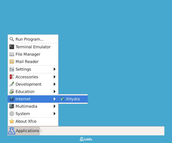 显示 Hydra 版本的输出