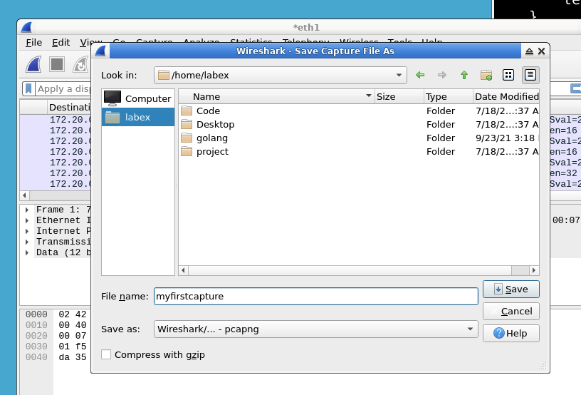 Guardando el archivo de captura de red