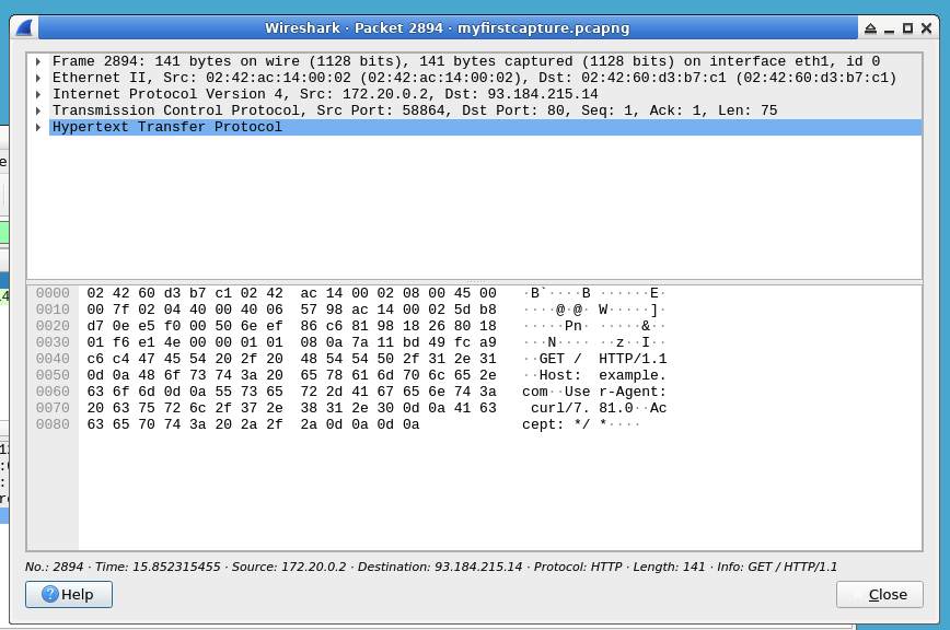 Detalles del paquete HTTP GET