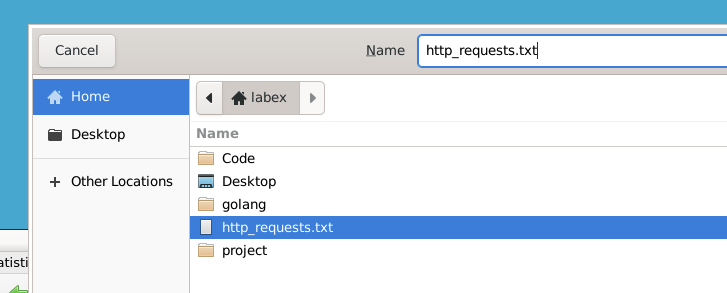 Exportación de la lista de peticiones HTTP