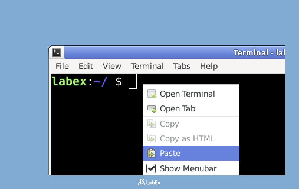 Captura de tela da execução do comando no terminal