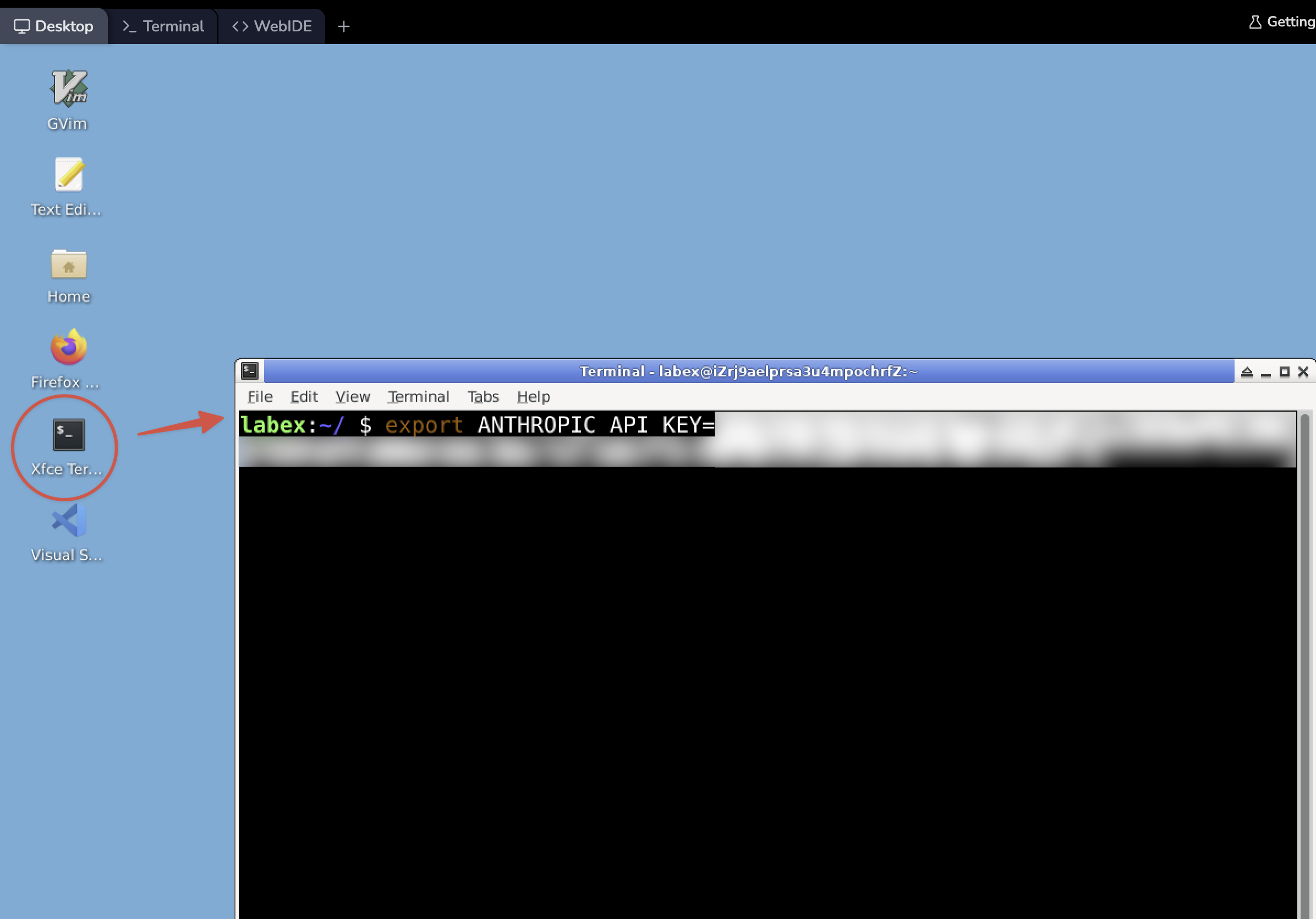 Comando de exportação da chave de API