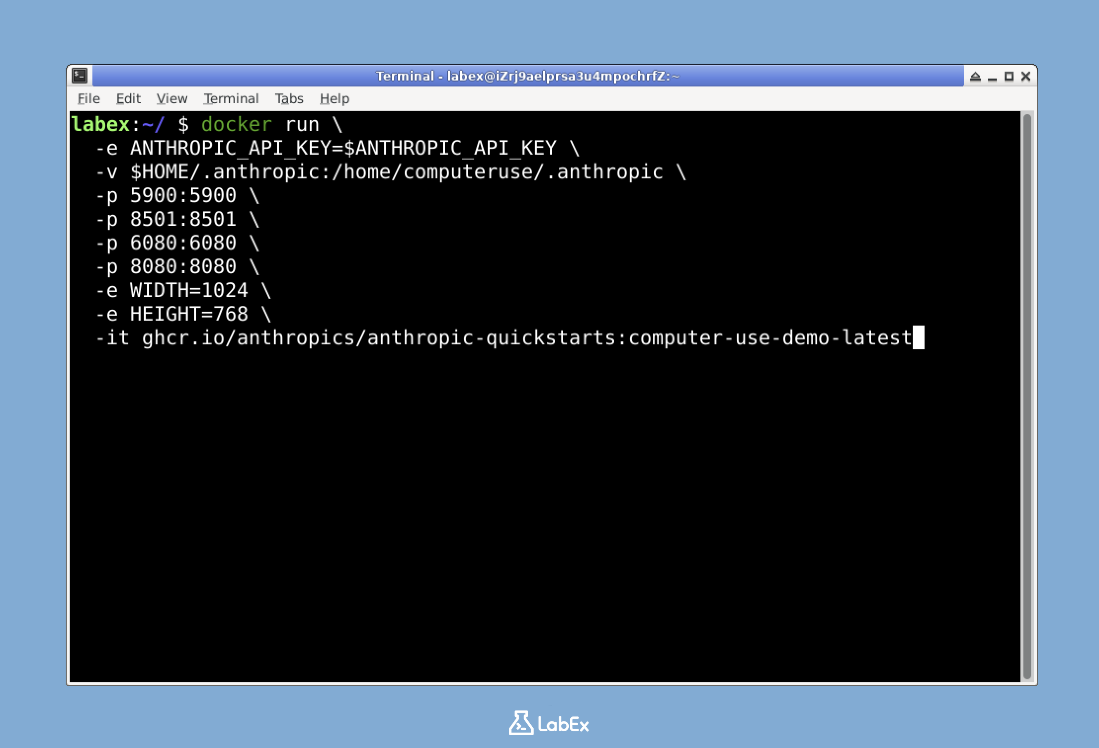 Captura de tela da execução do comando no terminal