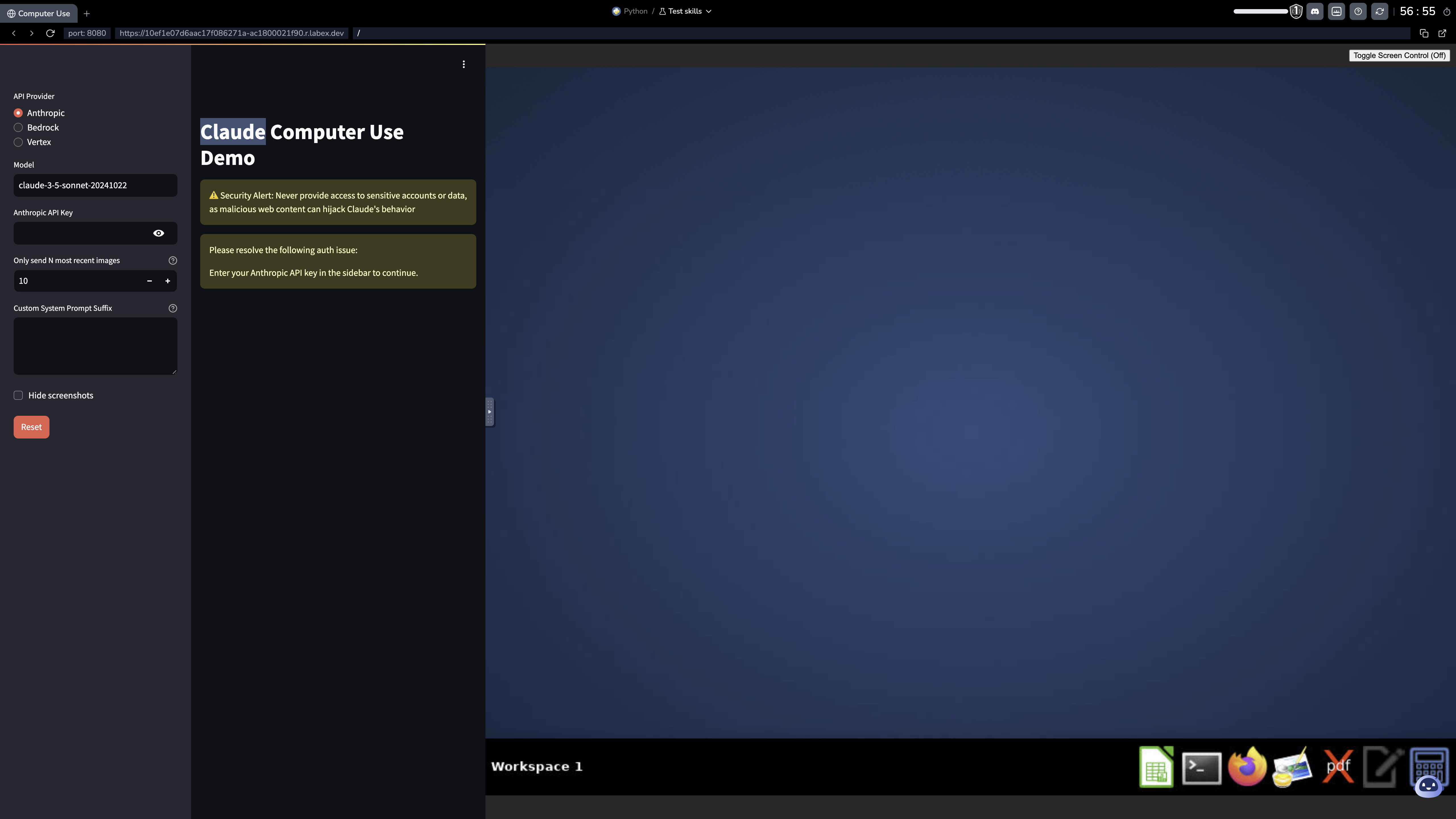 Computer Use Demo 界面