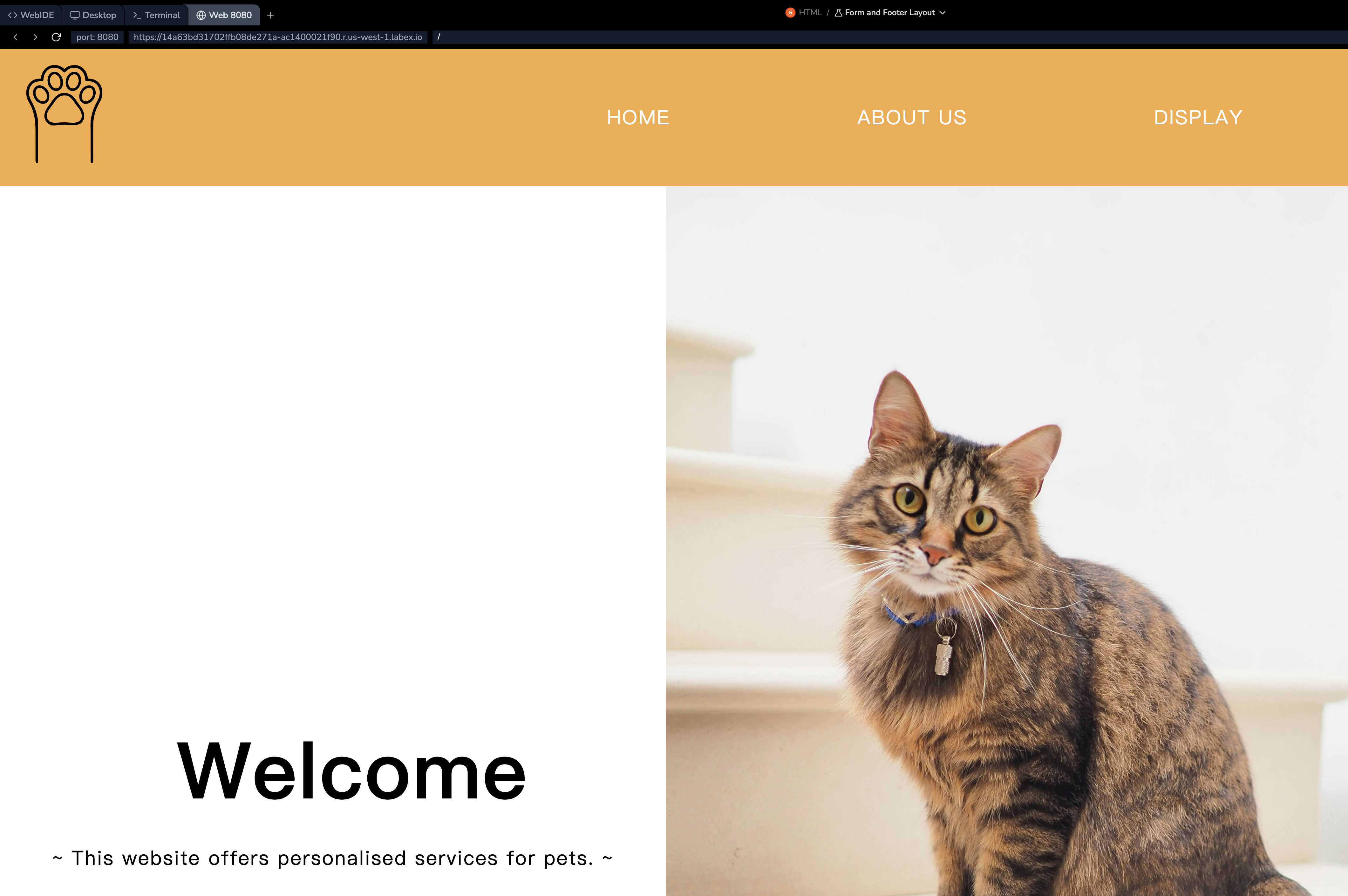 HTML link element example