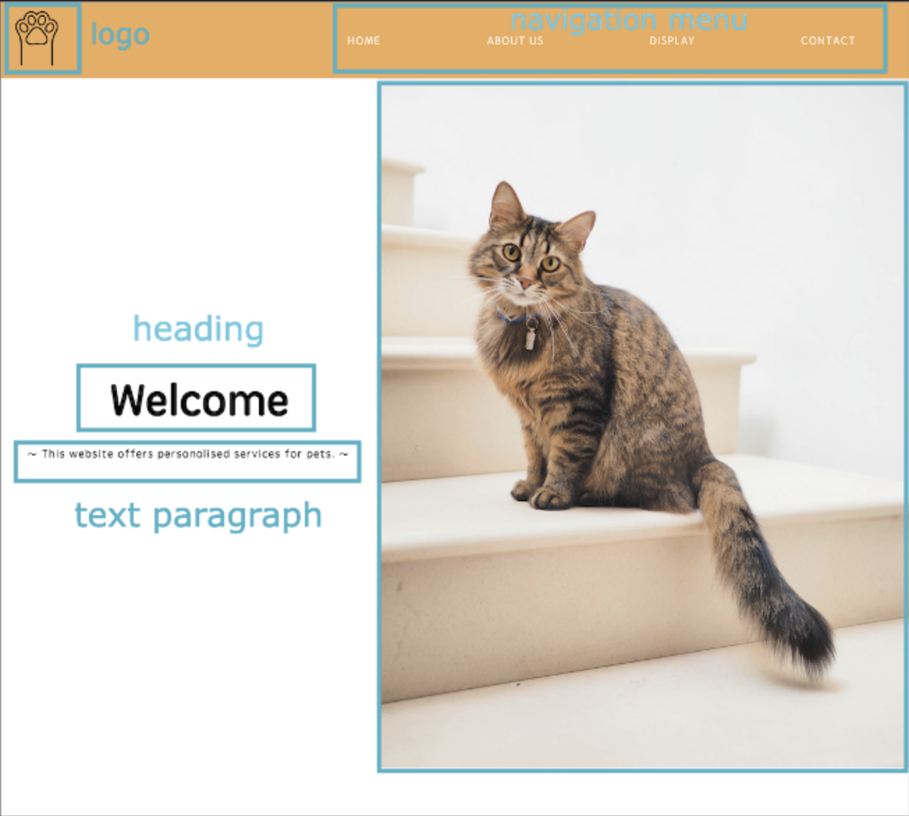 主页部分组件布局