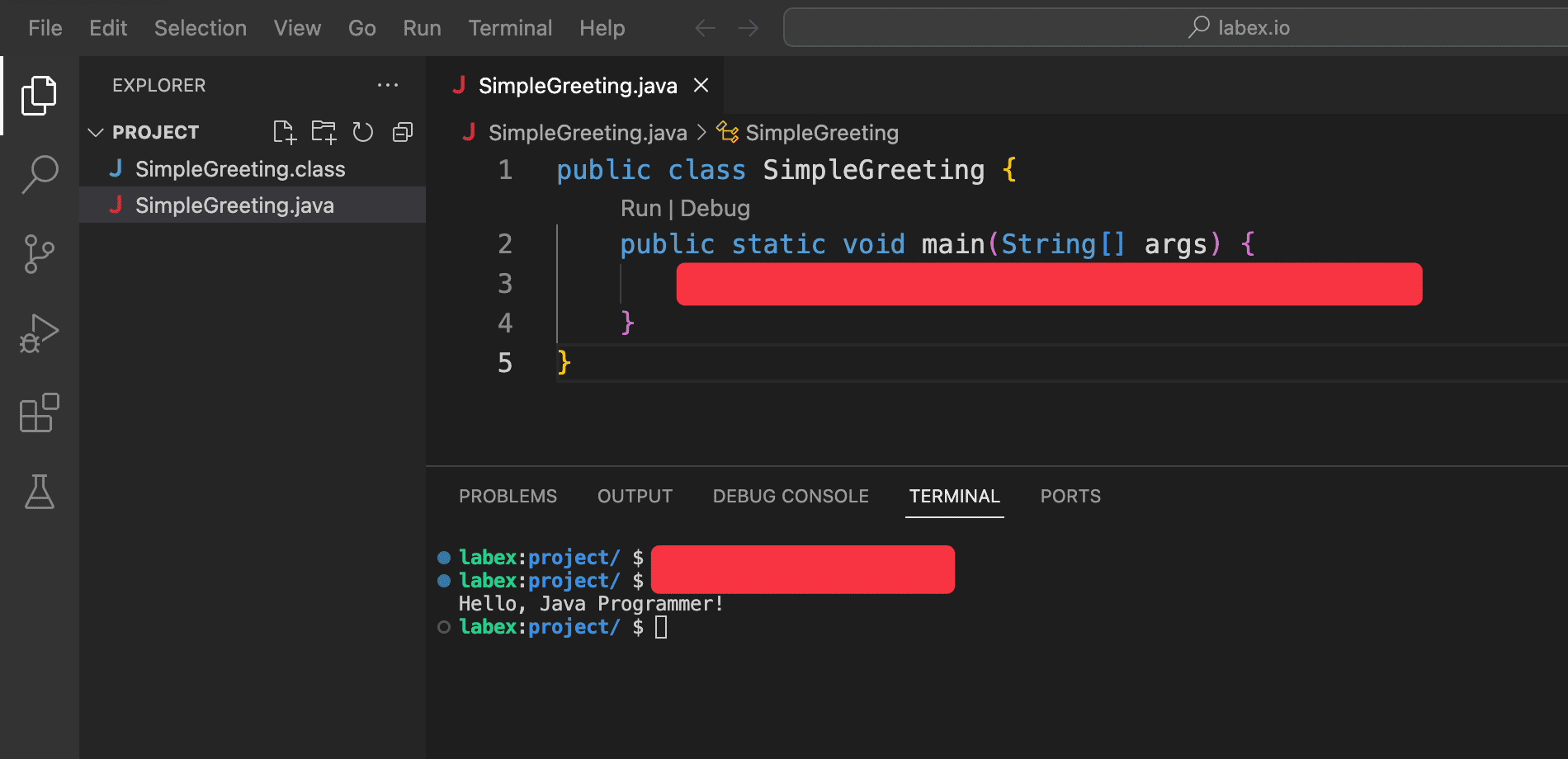 Java 程序输出示例