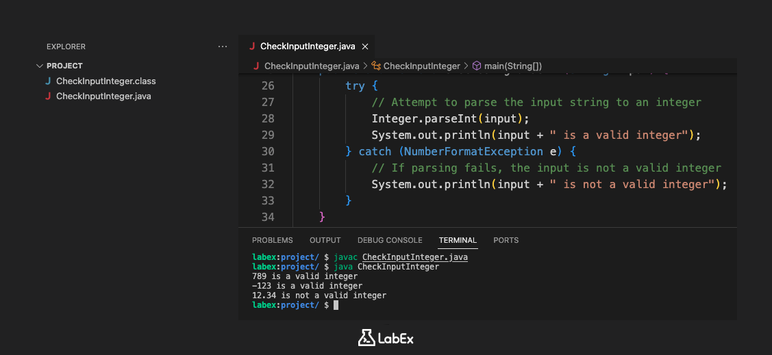 Output of the program showing valid and invalid integer checks