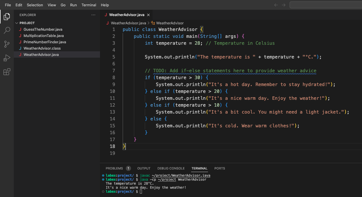 If else code example