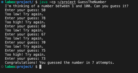 GuessTheNumber program output