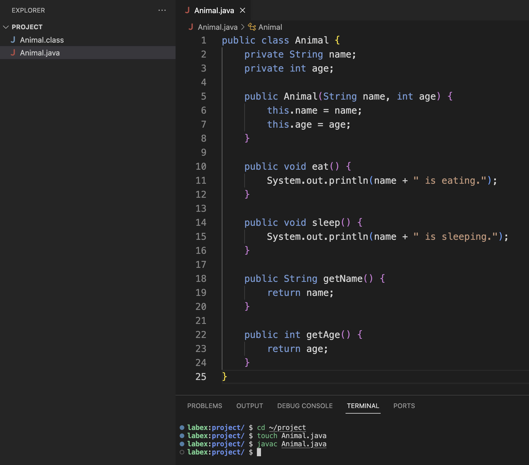 保存 Animal java 文件