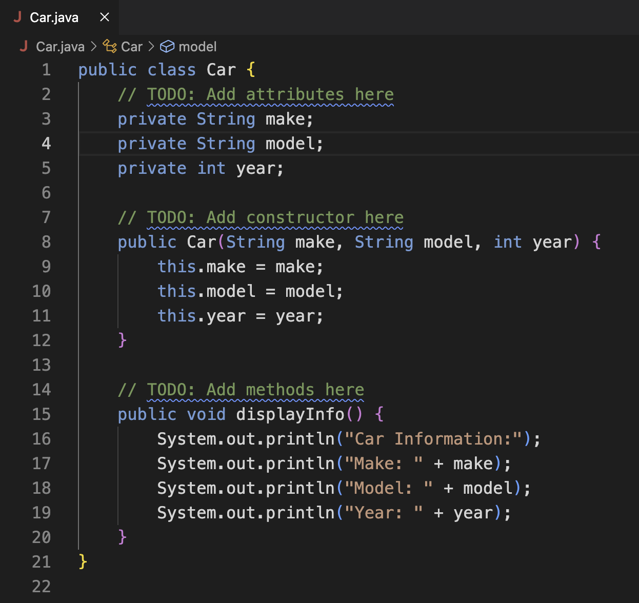 Java code snippet displayInfo method