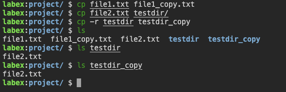 终端显示已复制的文件
