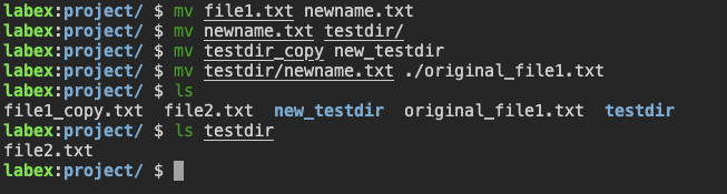 命令执行结果显示
