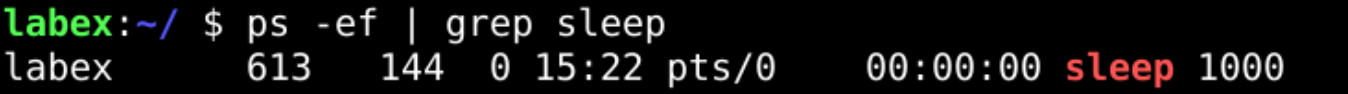 Terminal mostrando el proceso sleep