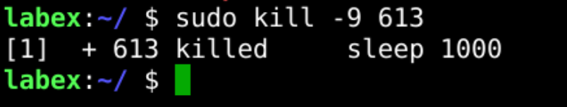 Terminando un proceso con el comando kill