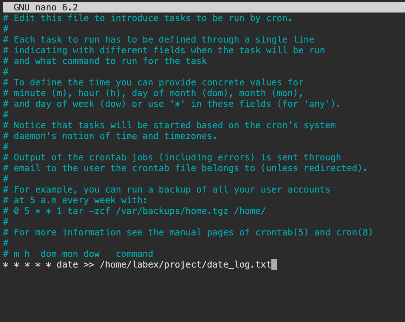 Cron job editor screenshot