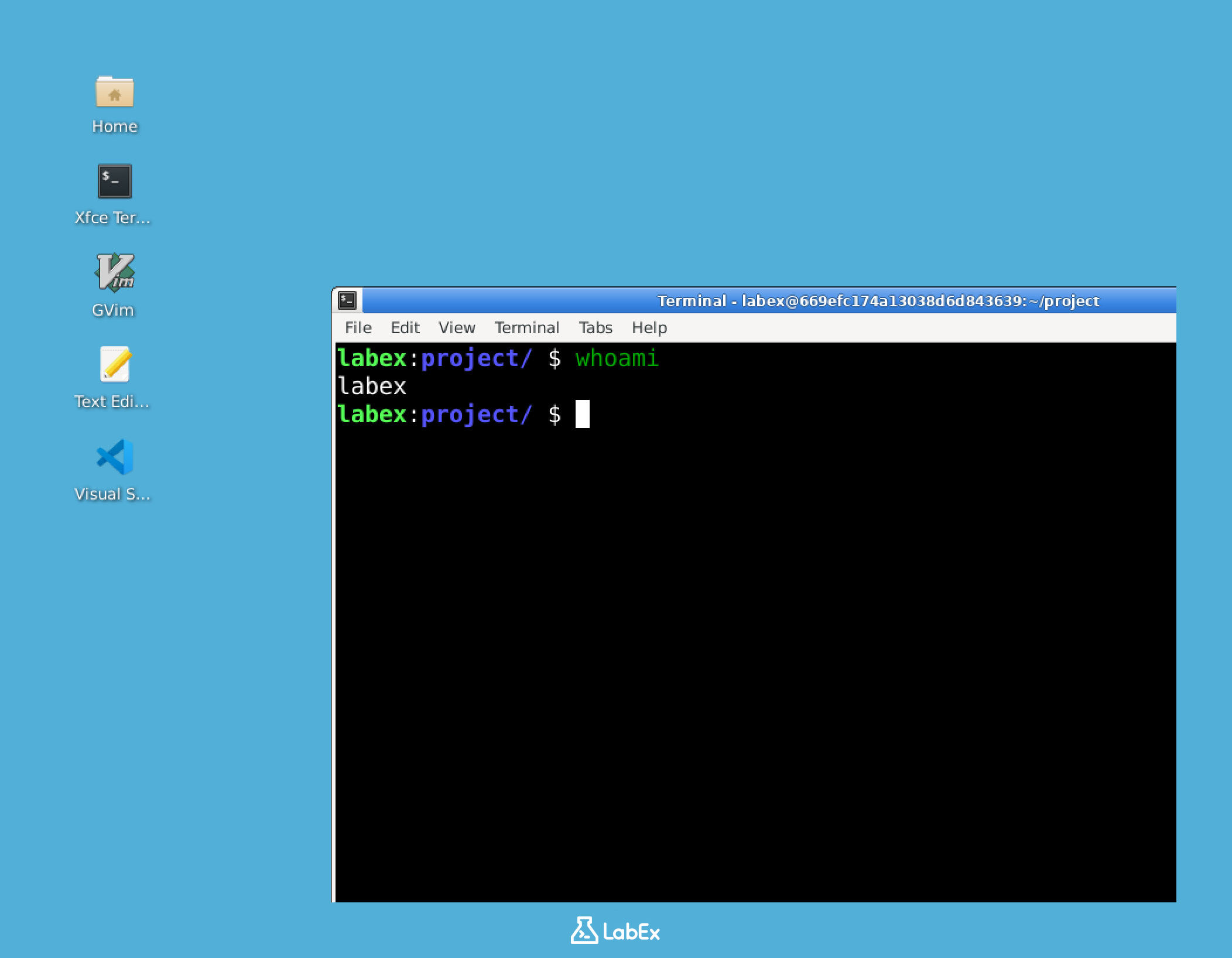 终端显示 whoami 输出