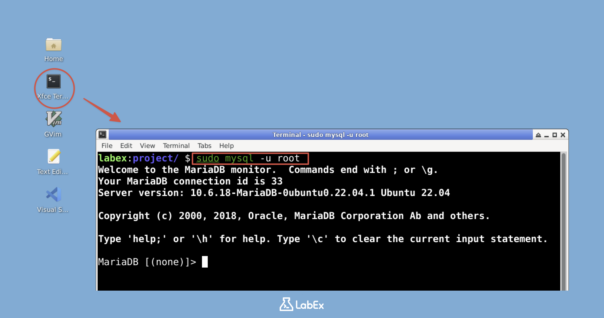 MySQL 客户端终端截图
