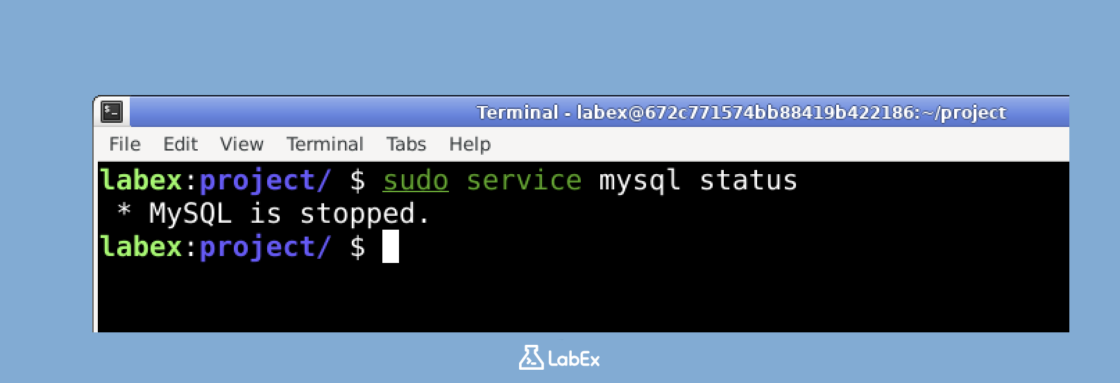MySQL 서비스 상태 출력