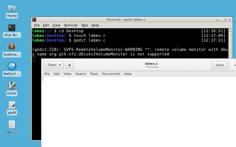 gedit 编辑器打开 labex.c 文件